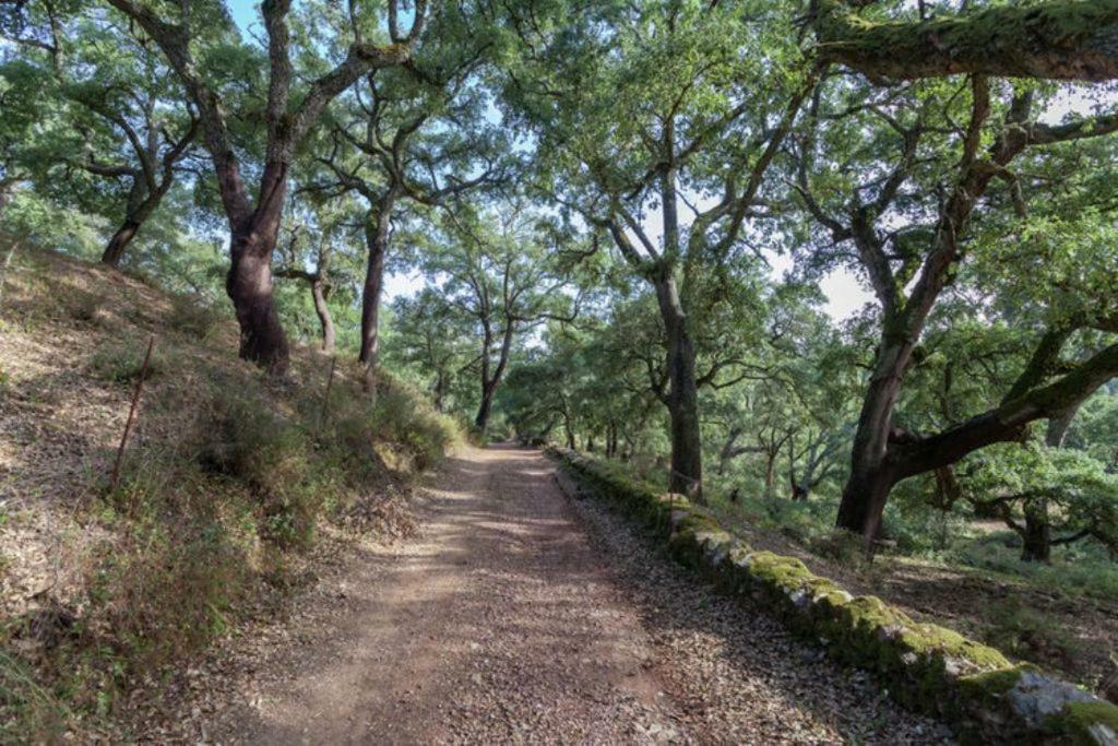 Finca Montemateo Наваэрмоса Экстерьер фото