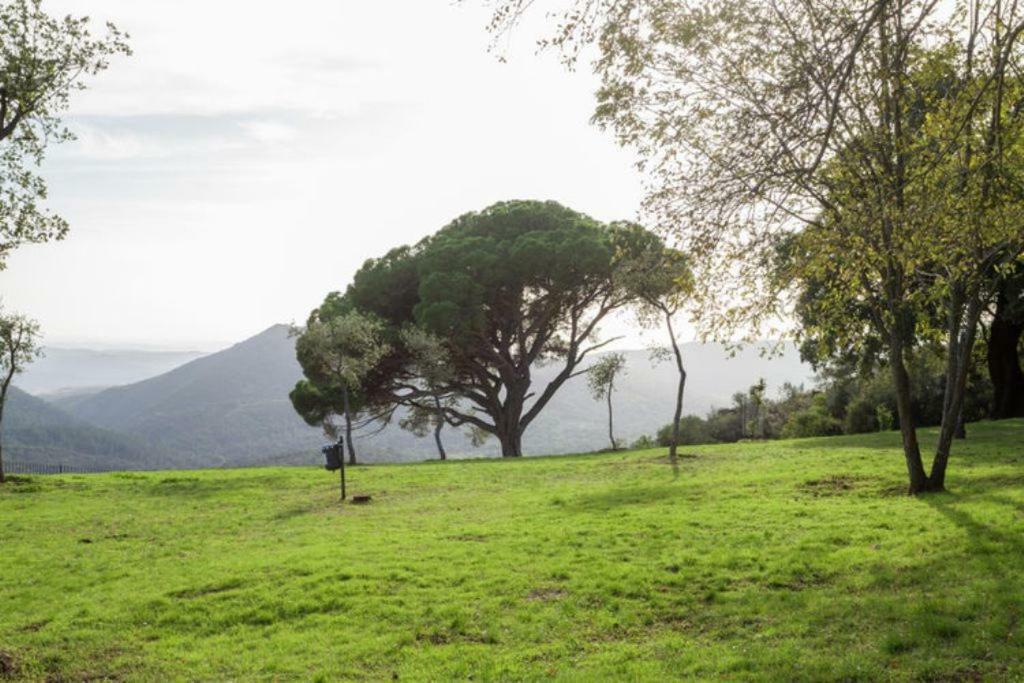 Finca Montemateo Наваэрмоса Экстерьер фото